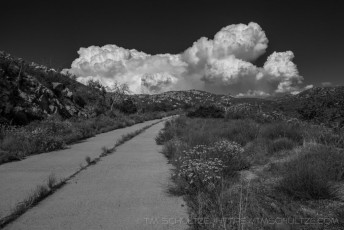 Afternoon, Old Road, Black and White is a photograph by T.M. Schultze taken 2017 at Descanso, California