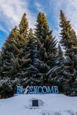 Blackcomb Trees is a photograph by T.M. Schultze taken at Whistler, British Columbia