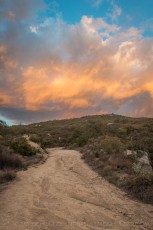 CNF23 is a photograph by T.M. Schultze taken 2017 at Cleveland National Forest, California