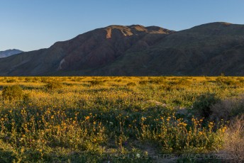 Coyote Mountain and Henderson Canyon Road is a photograph by T.M. Schultze taken at Anza-Borrego Desert State Park, California