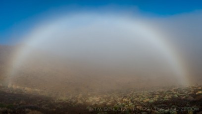 Fog Bow is a photograph by T.M. Schultze taken at Joshua Tree National Park, California