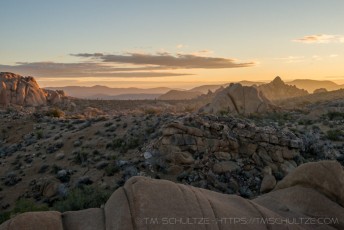 JT92 is a photograph by T.M. Schultze taken 2017 at Joshua Tree National Park, California