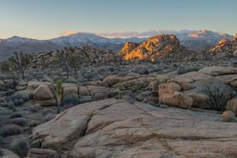 JT94 is a photograph by T.M. Schultze taken 2017 at Joshua Tree National Park, California
