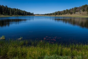Laguna Meadow Lake is a photograph by T.M. Schultze taken at ,
