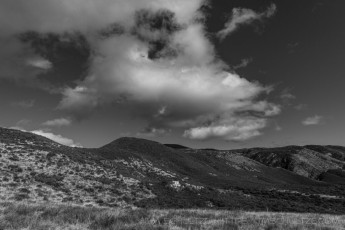 LM107 is a photograph by T.M. Schultze taken at ,