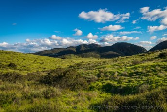 Mission Trails Grasslands is a photograph by T.M. Schultze taken at San Diego, California