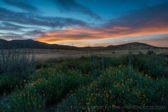 Mission Trails Poppy Sunset is a photograph by T.M. Schultze taken at San Diego,