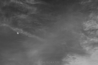 Moon Behind You, Black and White is a photograph by T.M. Schultze taken at Roberts Ranch, California