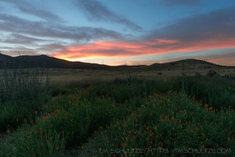 MTRP is a photograph by T.M. Schultze taken at San Diego,