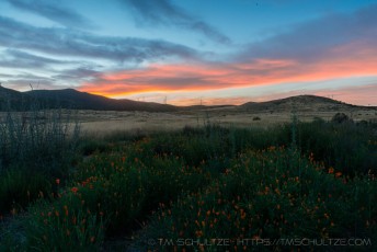MTRP is a photograph by T.M. Schultze taken at San Diego,