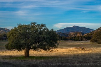 Oak and Cuyamaca is a photograph by T.M. Schultze taken 2017 at Roberts Ranch, California