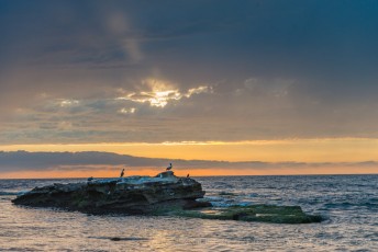 SD105 is a photograph by T.M. Schultze taken 2017 at San Diego, California