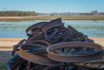 YM33 is a photograph by T.M. Schultze taken 2017 at Bard, California