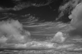 M.E. 9 is a photograph by T.M. Schultze taken at ,