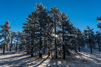Sparkilian is a photograph by T.M. Schultze taken at ,