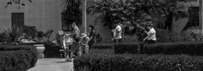 Cell Phone Zombies by T.M. Schultze