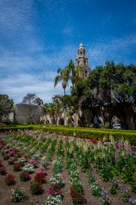 Tower Rise is a photograph by T.M. Schultze taken at ,