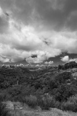Little Palm Canyon is a photograph by T.M. Schultze taken at San Diego, California