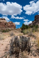 Calf Canyon 1 is a photograph by T.M. Schultze taken at ,