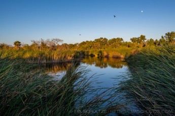 Riverlake is a photograph by T.M. Schultze taken at Santee,