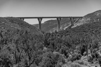 PVB1 is a photograph by T.M. Schultze taken at Cleveland National Forest,