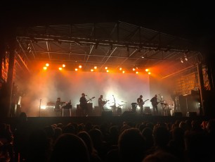 Fleet Foxes 1 by T.M. Schultze
