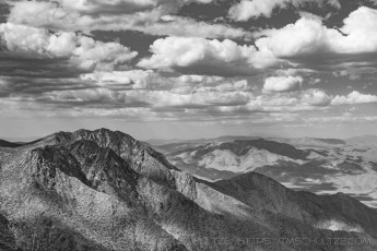 LM3 is a photograph by T.M. Schultze taken at Cleveland National Forest, California