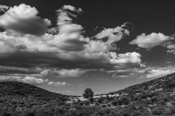 LM2 is a photograph by T.M. Schultze taken at Cleveland National Forest, California