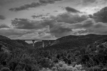 PVB2 is a photograph by T.M. Schultze taken 2018 at Cleveland National Forest,