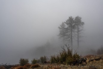 LM6 is a photograph by T.M. Schultze taken at ,