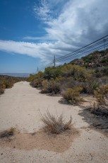 OH8031 is a photograph by T.M. Schultze taken 2018 at Bankhead Springs, California