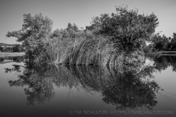 is a photograph by T.M. Schultze taken 2018 at ,