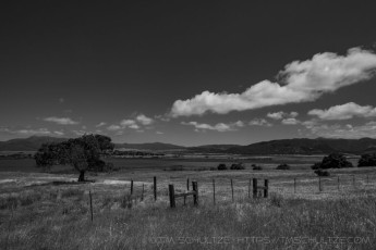 is a photograph by T.M. Schultze taken at ,