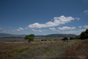 is a photograph by T.M. Schultze taken at ,