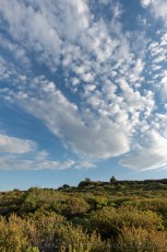 is a photograph by T.M. Schultze taken at Cleveland National Forest, California