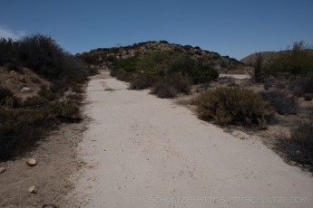 is a photograph by T.M. Schultze taken at ,