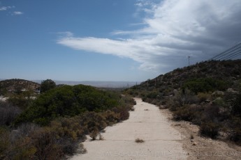 is a photograph by T.M. Schultze taken at ,