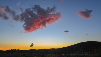 LM1 is a photograph by T.M. Schultze taken at Cleveland National Forest, California