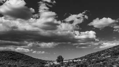 LM2 is a photograph by T.M. Schultze taken at Cleveland National Forest, California