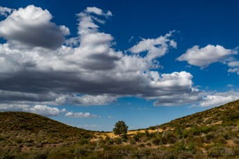 LM2 is a photograph by T.M. Schultze taken at Cleveland National Forest, California