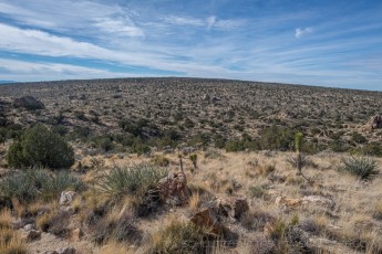 MNP16 is a photograph by T.M. Schultze taken 2018 at Mojave National Preserve, California
