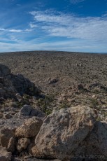 MNP18 is a photograph by T.M. Schultze taken 2018 at Mojave National Preserve, California