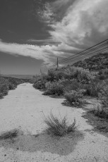 OH80122 is a photograph by T.M. Schultze taken 2018 at Bankhead Springs, California