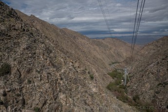 PS2 is a photograph by T.M. Schultze taken 2018 at Mt. San Jacinto State Park, California