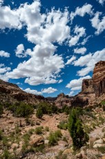 Sandstone Trails is a photograph by T.M. Schultze taken at ,