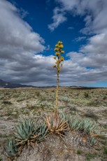 ABD100 is a photograph by T.M. Schultze taken at ,