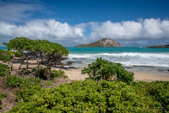 HW5 is a photograph by T.M. Schultze taken at Oahu,