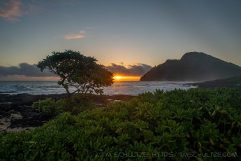 HW12 is a photograph by T.M. Schultze taken at Oahu,