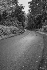 HW10 is a photograph by T.M. Schultze taken 2019 at Oahu,