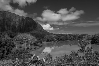 HW3 is a photograph by T.M. Schultze taken at Oahu,